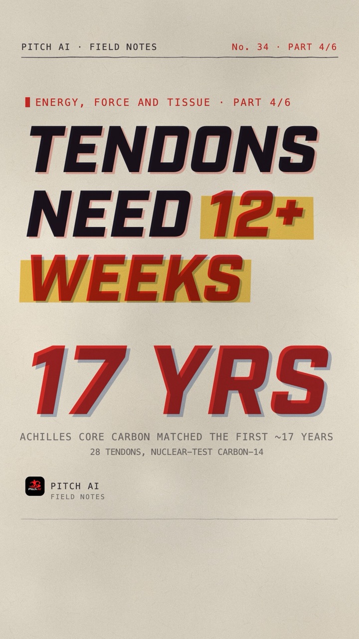 Field Notes cover card reading Tendons need 12+ weeks, with 17 years for the Achilles tendon core carbon finding
